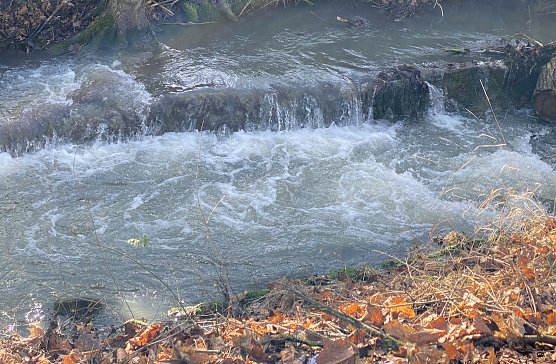 An der Salza in Bad Langensalza (Foto: oas)