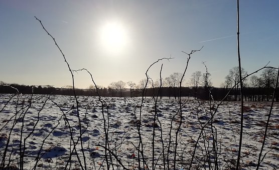 Minus 6 Grad und 1 Zentimeter Neuschnee heute im Harz (Foto: W.Jörgens) Minus 6 Grad und 1 Zentimeter Neuschnee heute im Harz (Foto: W.Jörgens)