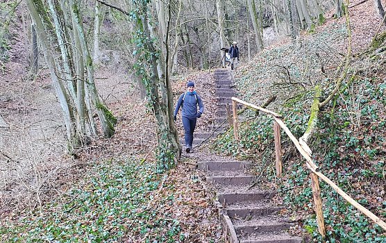 Gl&uuml;cklich sind sie dem Schlamm im Alten Stolberg entkommen: Zwei Teilnehmer des 41. S&uuml;dharz-Hunderters auf den letzten Treppenstufen vor dem Erreichen der Heimkehle (ca. Kilometer 15).  (Foto: B.Schwarzberg)