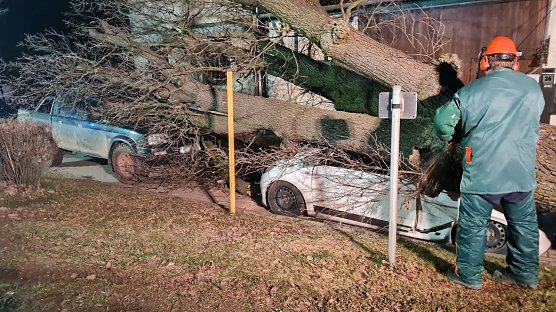 Baum kracht in Kleinwechsungen auf Autos (Foto: S. Dietzel)