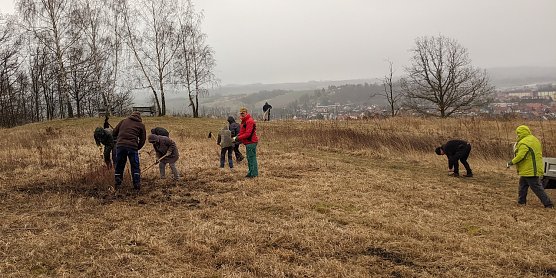 Arbeitseinsatz auf dem M&uuml;hlberg (Foto: LPV)