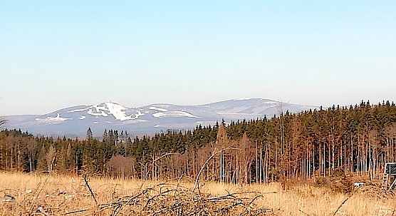 Die Sophienhöfer können jetzt jeden Tag den Brocken sehen. (Foto: W.Jörgens) Die Sophienhöfer können jetzt jeden Tag den Brocken sehen. (Foto: W.Jörgens)