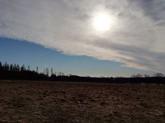 Den Sonnenschein konnte man heute morgen auch in Sophienhof genie&szlig;en (Foto: W. J&ouml;rgens)