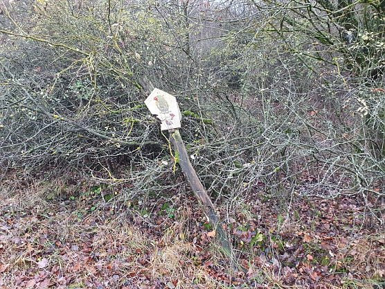 Dieser umgest&uuml;rzte Pfahl mit einem NSG-Schild ist exemplarisch f&uuml;r die jahrelange Ausschilderungssituation im Landkreis Nordhausen. Es befindet sich im Naturschutzgebiet R&uuml;digsdorfer Schweiz. (Foto: Bodo Schwarzberg)