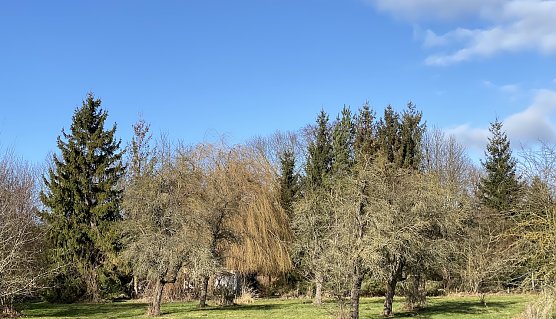 Viel Sonnenschein pr&auml;gte den M&auml;rz, au&szlig;er in Th&uuml;ringen (Foto: oas)