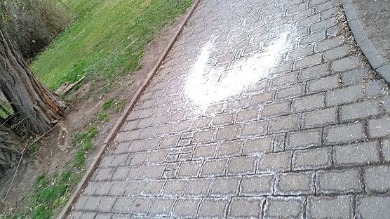 Gro&szlig;z&uuml;gig gestreut (Foto: C. Marx)