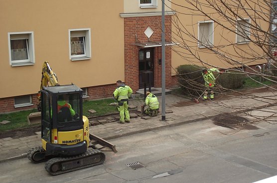 Gute Arbeit (Foto: Anton)