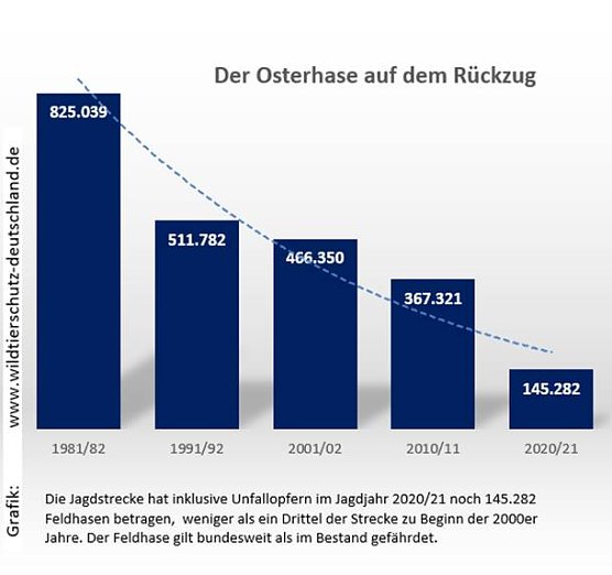 Der Osterhase auf dem Rückzug (Foto: Wildtierschutz Deutschland) Der Osterhase auf dem Rückzug (Foto: Wildtierschutz Deutschland)
