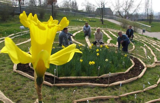 Ab durchs Labyrith (Foto: PSV)