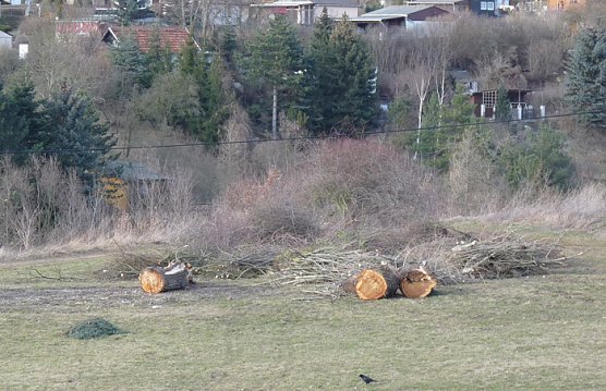 Winterwetter 2 (Foto: Karl-Heinz Herrmann)