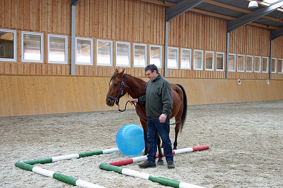 Lernen in der Reithalle (Foto: CSI)