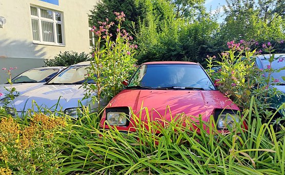 Parkidylle in der Nordhäuser Grimmelallee (Foto: P.Blei) Parkidylle in der Nordhäuser Grimmelallee (Foto: P.Blei)