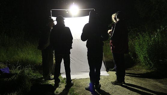 N&auml;chtliche Falterbeobachtung wieder am kommenden Montag (Foto: S.Staubit)
