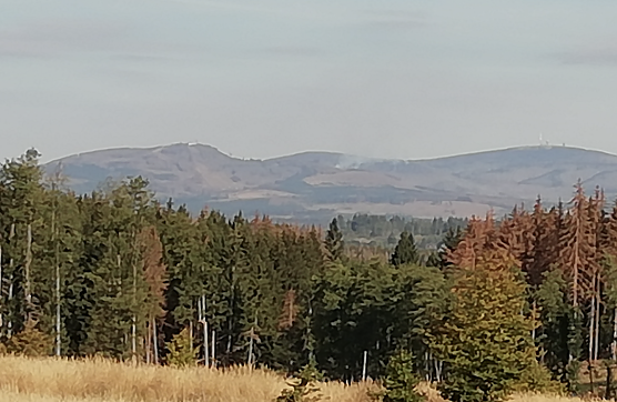 Die Rauchwolken im Harz waren am Wochenende auch im Südharz auszumachen (Foto: W. Jörgens) Die Rauchwolken im Harz waren am Wochenende auch im Südharz auszumachen (Foto: W. Jörgens)