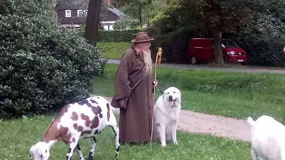 Der Sch&auml;fer (Foto: Kurt Frank)