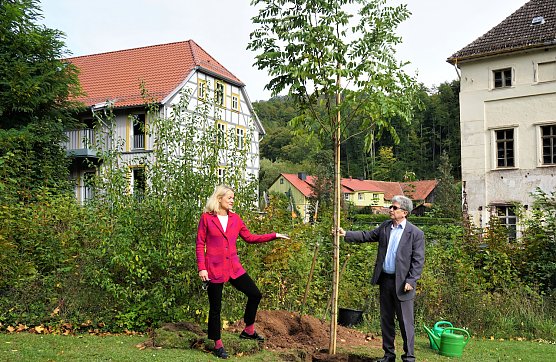 In Neustadt wird wieder gepflanzt (Foto: Tourist Info Neustadt) In Neustadt wird wieder gepflanzt (Foto: Tourist Info Neustadt)