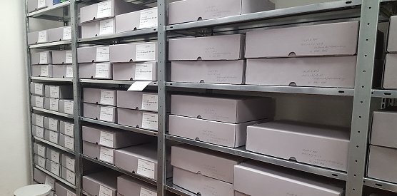 Sondermagazin M6, Personenstandsregister im Nordh&auml;user Stadtarchiv (Foto: Stadtverwaltung Nordhausen)