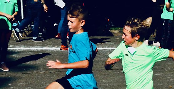 Herbstcrosslauf im Gehege (Foto: agl) Herbstcrosslauf im Gehege (Foto: agl)