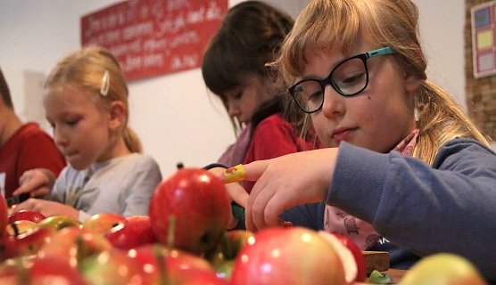 Die Apfelernte wird begutachtet (Foto: F.Tuschy)