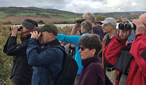 Beobachtung von Kranichen und anderen seltenen V&ouml;geln (Foto: S.Staubitz)