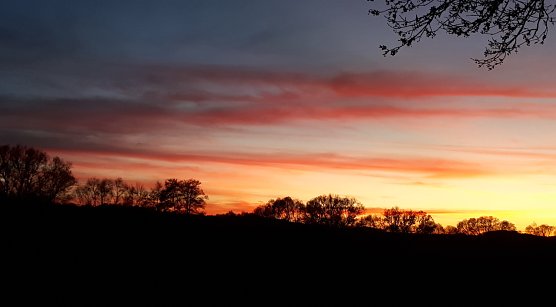 Sonnenuntergang heute Abend in Neustadt (Foto: Peter Sieckel) Sonnenuntergang heute Abend in Neustadt (Foto: Peter Sieckel)