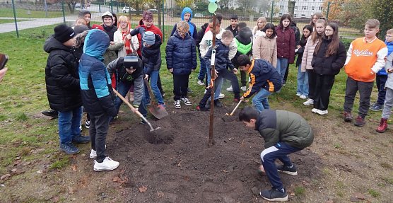 An der Petersbergschule wurde gestern eine Sommerlinde gepflanzt (Foto: agl) An der Petersbergschule wurde gestern eine Sommerlinde gepflanzt (Foto: agl)