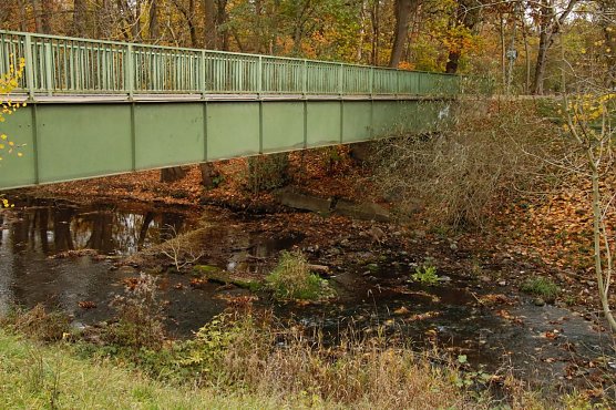 Niedrigwasser in der Zorge, 09. November  (Foto: agl)
