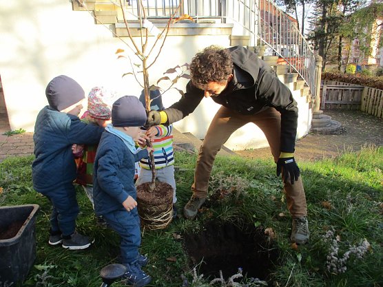 Christoph Haase pflanzte das Abschiedsgeschenk für das Zwergenschlösschen (Foto: privat) Christoph Haase pflanzte das Abschiedsgeschenk für das Zwergenschlösschen (Foto: privat)