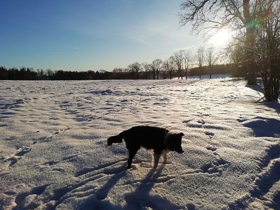 Schnee und Sonnenschein (Foto: W. J&ouml;rgens)