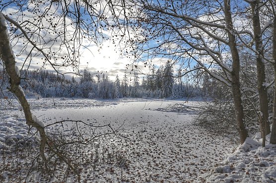 Winterspaziergang im Harz (Foto: Michael Wille)