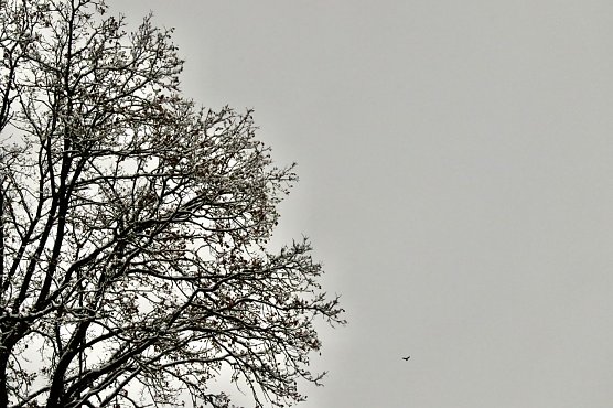 Wetterbild (Foto: agl)