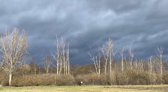Das fr&uuml;hliingshafte Wetter bleibt uns weiter erhalten (Foto: oas)