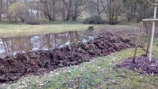 Mit Beginn der warmen Jahreszeit wird wohl so mancher Parkbesucher vor dem aktivierten Feuchtbiotop �auf einer Bank �verweilen und darauf �hoffen, auch deren Bewohner zu erblicken. Bis dahin sind auch� die Erdhaufen bereinigt. (Foto: Rosaline Frank)