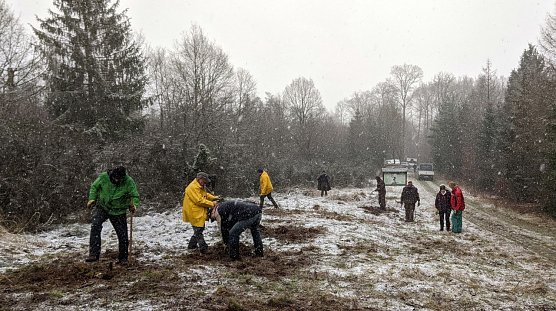 Einsatz bei Ellrich (Foto: LPV)