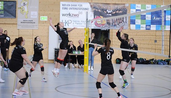 Bleicher&ouml;der Schmetterlinge in Aktion (Foto: A.Kretzschmar)