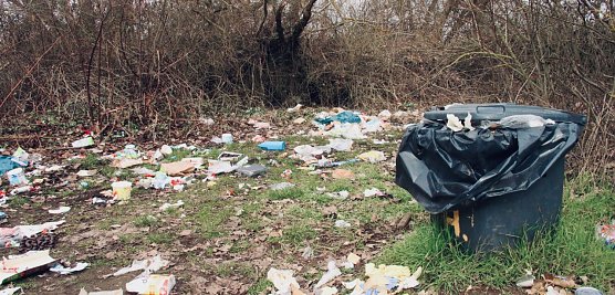 M&uuml;llchaos an der Betonstra&szlig;e zwischen Bielen und Sundhausen (Foto: agl)