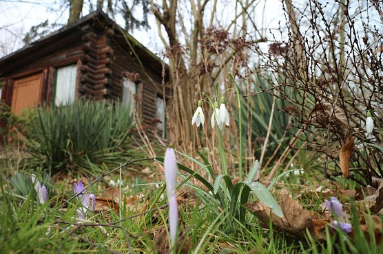 Wetterbild (Foto: agl) Wetterbild (Foto: agl)
