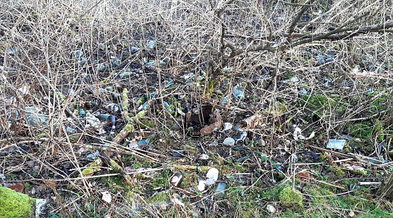 M&uuml;llsammlung am Karstwanderweg (Foto: privat)