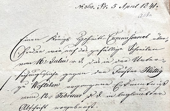 Auszug aus dem Brief des Försters Hüttig (Foto: T.Schäfer) Auszug aus dem Brief des Försters Hüttig (Foto: T.Schäfer)