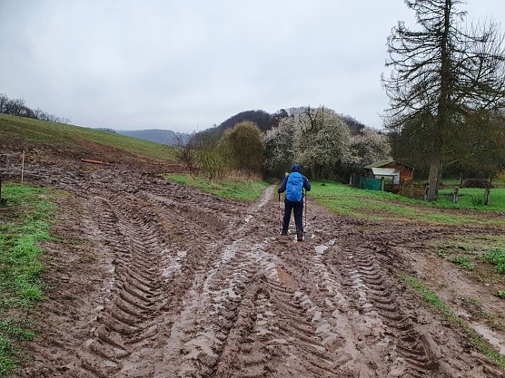 Hin und wieder war mehr rutschen als wandern (Foto: Bodo Schwarzberg)