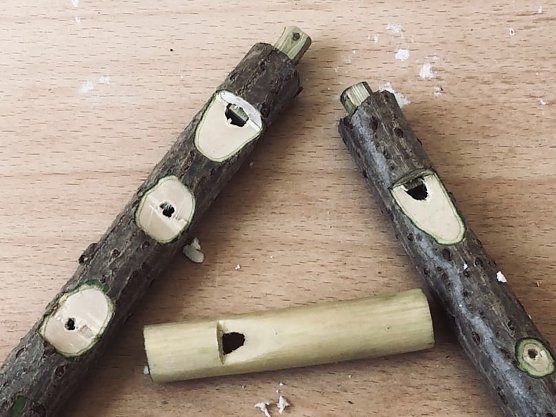 Kleine Holunderpfeifen locken den Fr&uuml;hling (Foto: KILA)