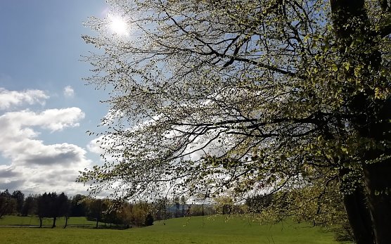 Zehn Grad und viel Sonne vermeldet Sophienhof heute Morgen (Foto: W. J&ouml;rgens)