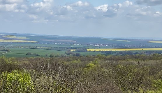 Blick vom Baumkronenpfad (Foto: oas) Blick vom Baumkronenpfad (Foto: oas)