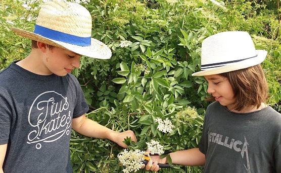 Alte H&uuml;te sind gefragt (Foto: KILA)