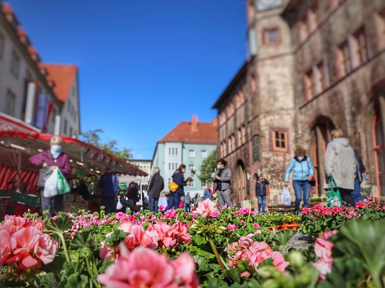 Am Samstag lockt der Geranienmarkt auf dem Nordh&auml;user Rathausplatz (Foto: Deutsche Marktgilde)