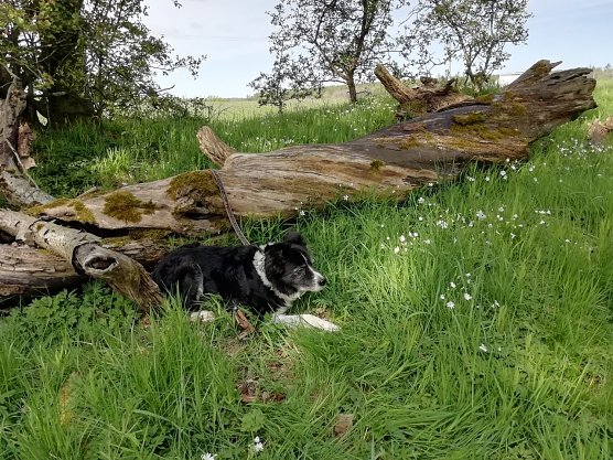 So l&auml;sst's sich aushalten (Foto: W. J&ouml;rgens)