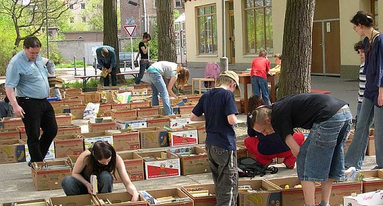 St&ouml;bern unter Linden (Foto: Tuschy)