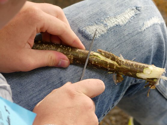 Mit dem richtigen Stab pilgert es sich besser (Foto: Evangelischer Kirchenkreis Südharz) Mit dem richtigen Stab pilgert es sich besser (Foto: Evangelischer Kirchenkreis Südharz)