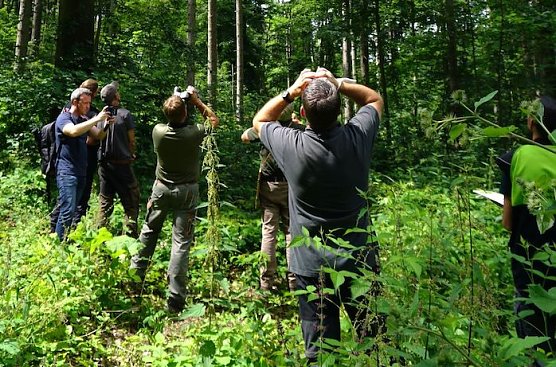 Waldzustandsexperten in Auftrag von ThüringenForst (Foto: Krahnberg) Waldzustandsexperten in Auftrag von ThüringenForst (Foto: Krahnberg)