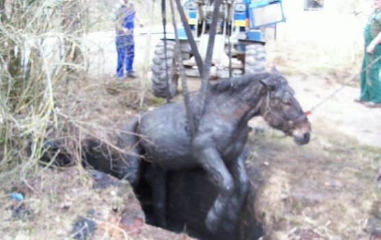 feuerwehr (Foto: w&uuml;lfi)